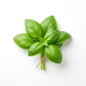 Basil 100 gm